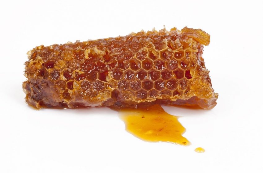 propolis